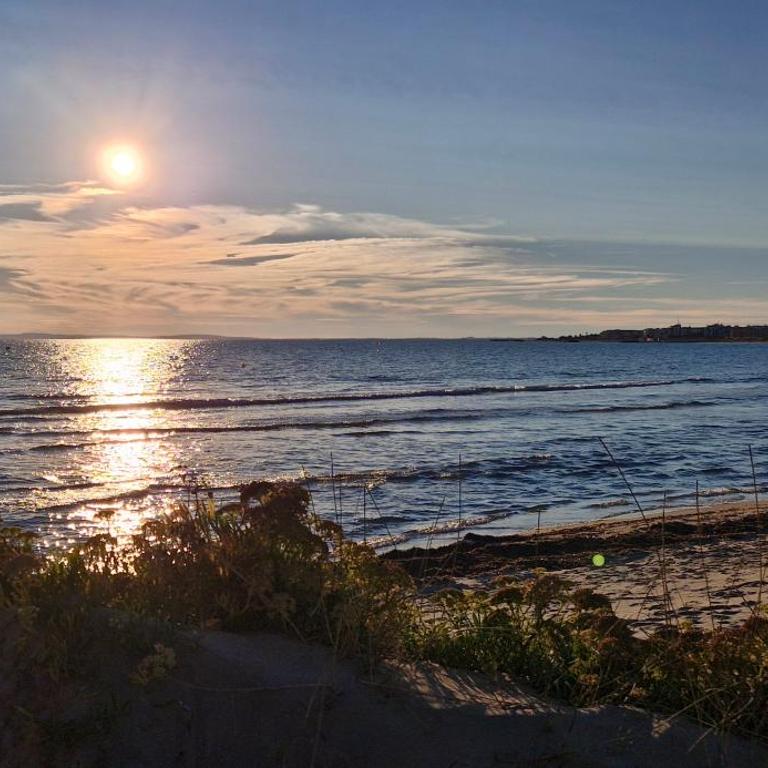 Cottage premium au cœur de la pinède, idéal pour des vacances en familles et entre amis - Maison 2 Chambres - 30