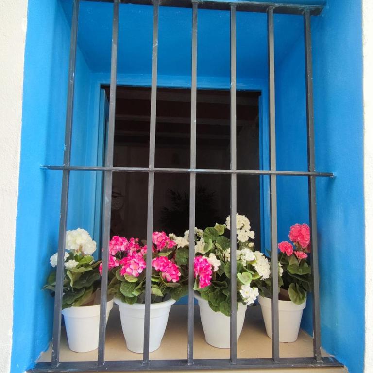 Casa el far Peñíscola - Casa de 3 dormitorios - 10
