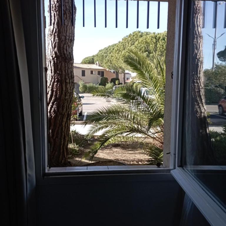 Marina St Cyprien - Appartamento con 1 Camera da Letto - 17