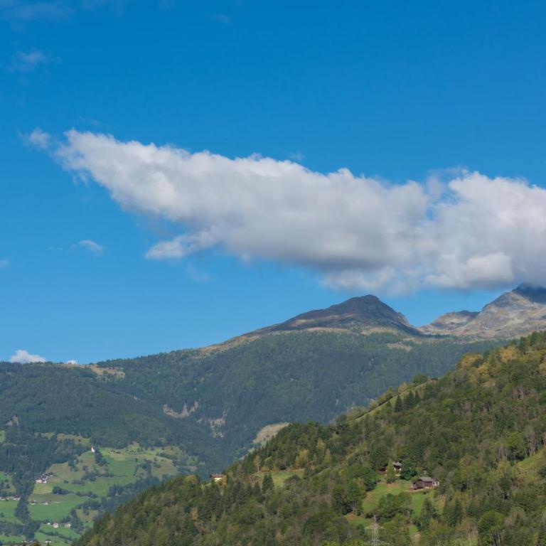 Hotel Mölltalerhof - Doppelzimmer - 2