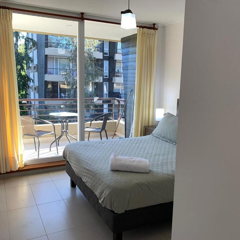 Departamento camino al Volcán, 960, Pucón - One-Bedroom Apartment - 10