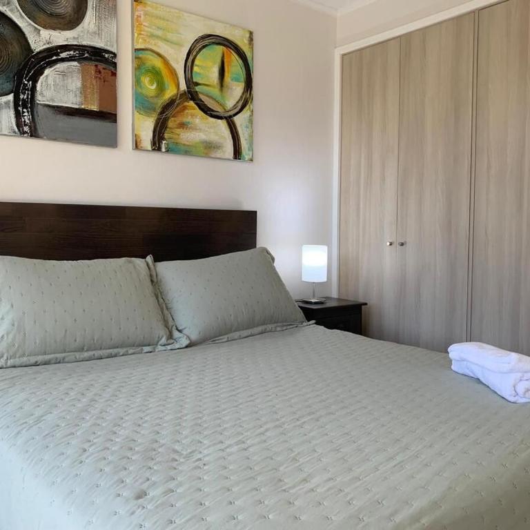 Departamento camino al Volcán, 960, Pucón - One-Bedroom Apartment - 11