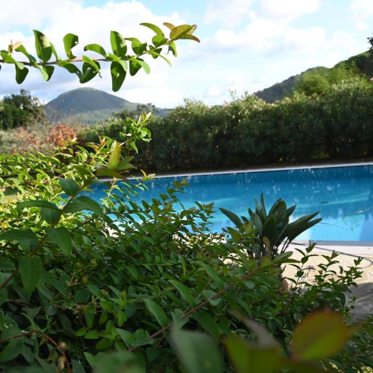 La Casa Gialla - Casa con 2 Camere da Letto - 4