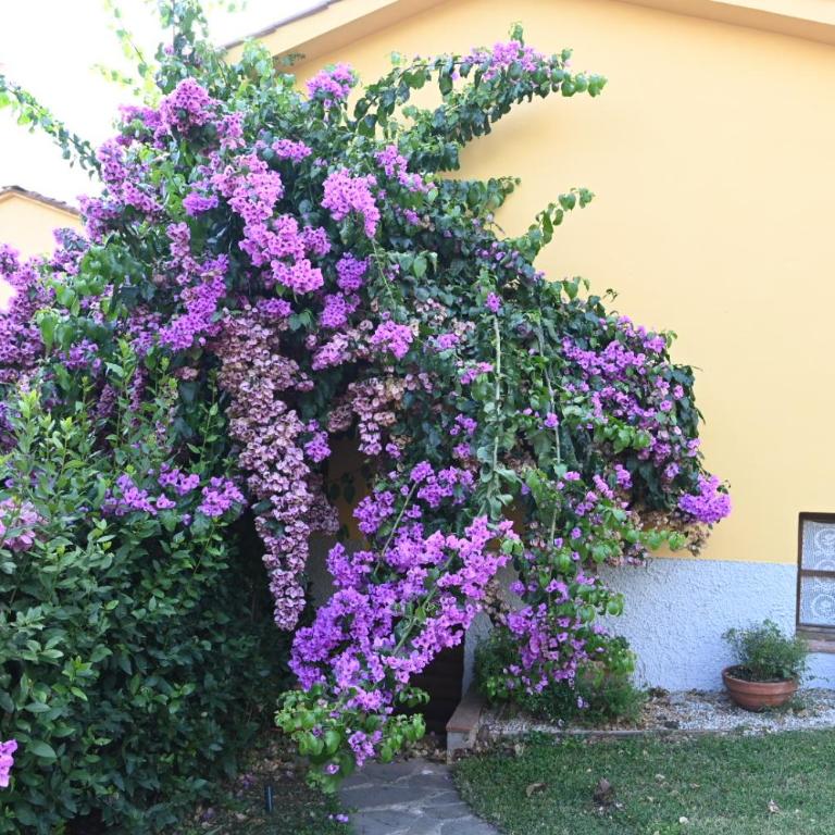 La Casa Gialla - Casa con 2 Camere da Letto - 28