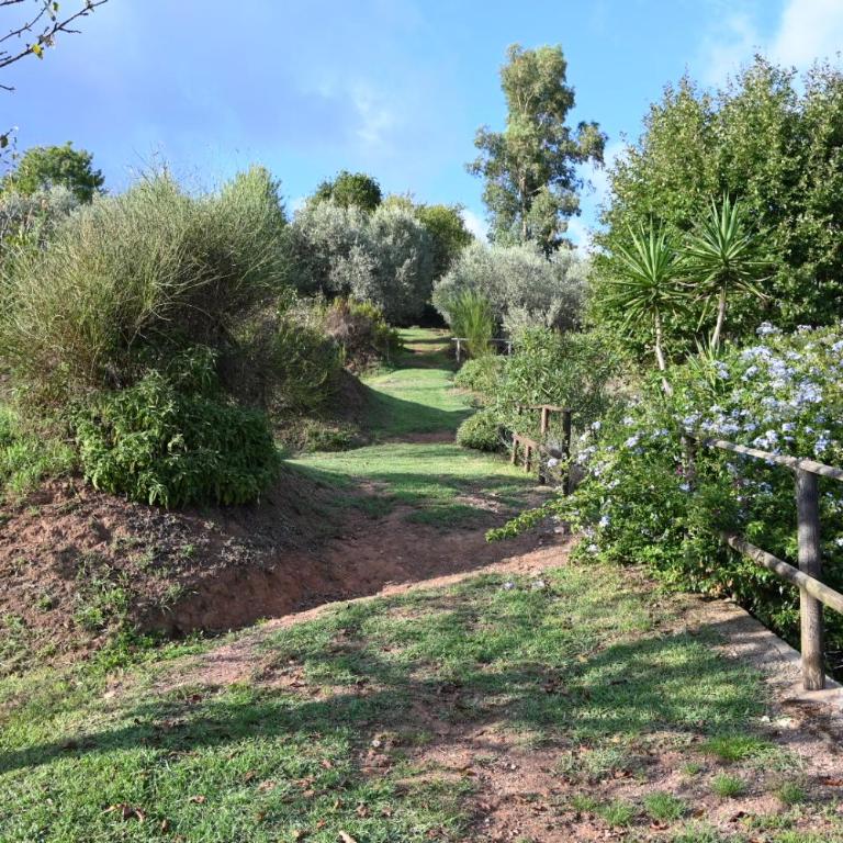 La Casa Gialla - Casa con 2 Camere da Letto - 63