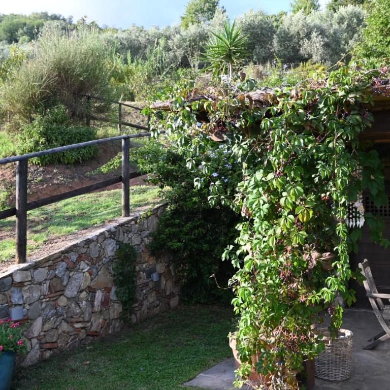 La Casa Gialla - Casa con 2 Camere da Letto - 50