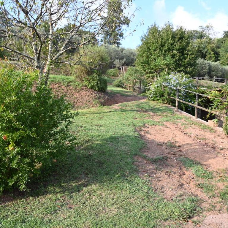 La Casa Gialla - Casa con 2 Camere da Letto - 69
