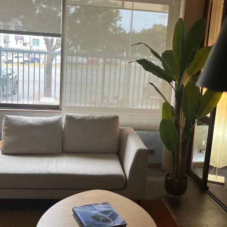 Luxury apartment - One-Bedroom Apartment - 1
