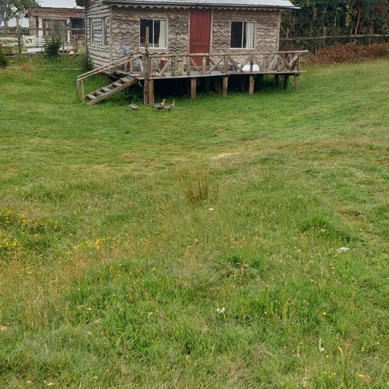 Cabañas don Manuel - One-Bedroom House - 10