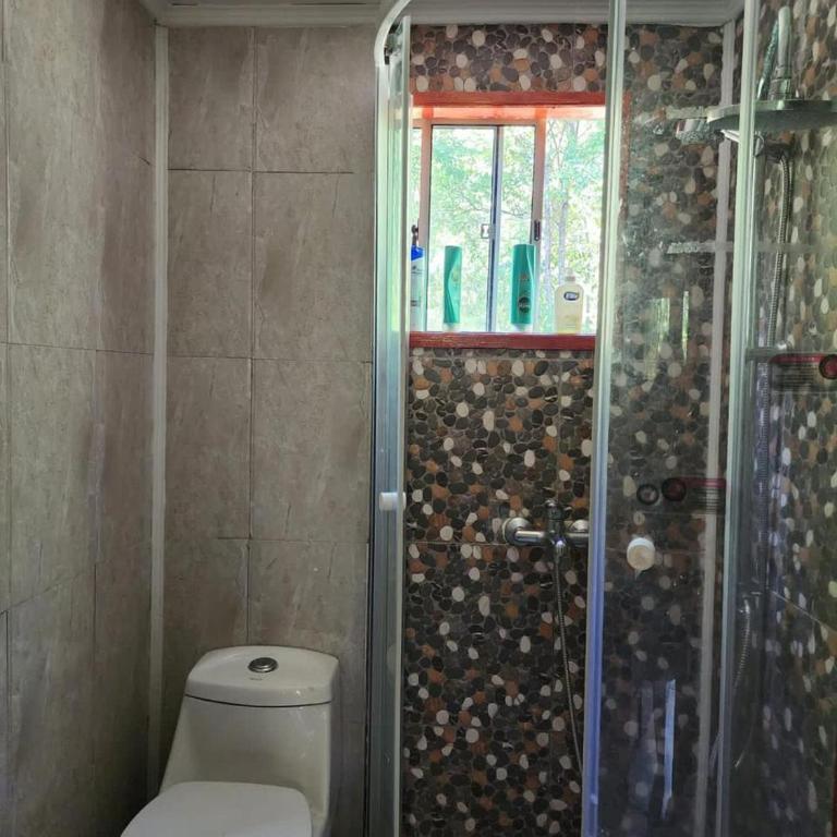 Cabañas Pucón Baño de Bosque - Two-Bedroom House - 3