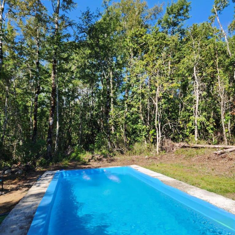 Cabañas Pucón Baño de Bosque - Two-Bedroom House - 1