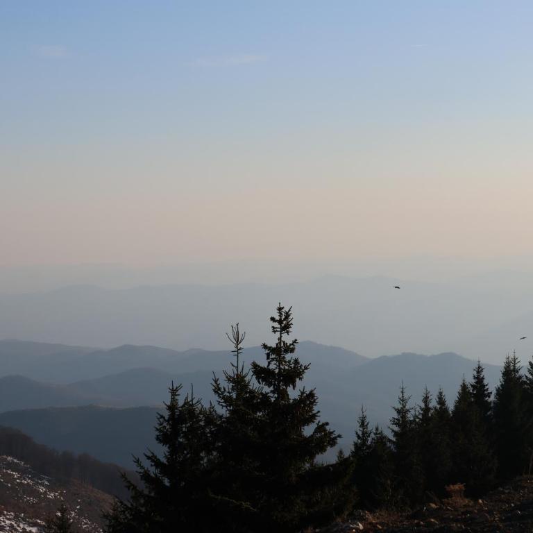 Mountain Paradise Ski In & Out - Vila Golija Kopaonik - Apartman sa 2 Spavaće Sobe i Pogledom na Planinu - 7
