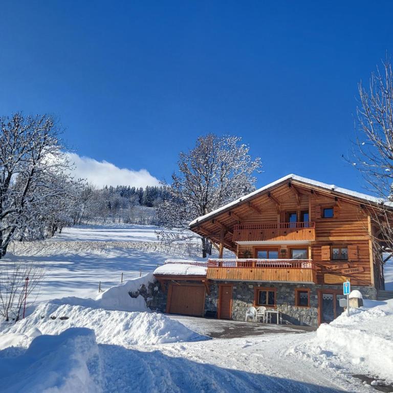 La petite Anfiane - Chalet - 2