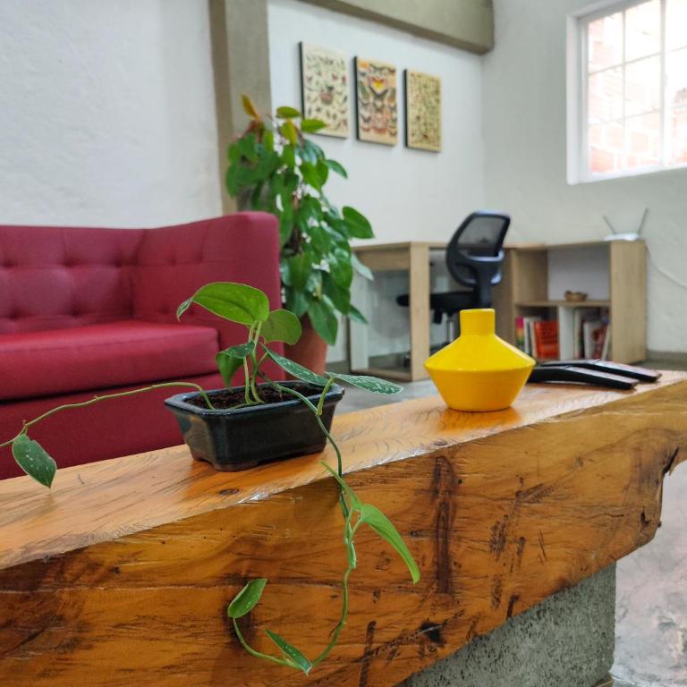 Modern Loft in Zona Rosa Buenos Aires WiFi 500Mb - One-Bedroom Apartment - 17