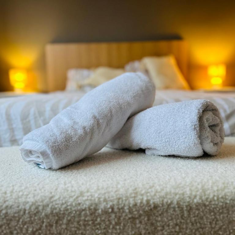 Appartement cosy Toulouse - Appartamento con 1 Camera da Letto - 5