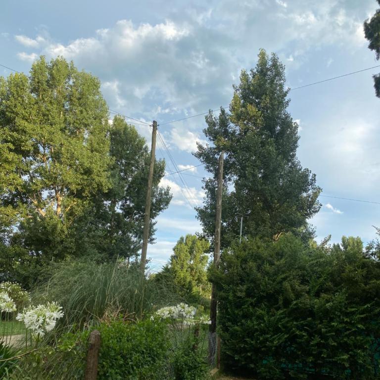 Las Grullas - Casa de 2 dormitorios - 5