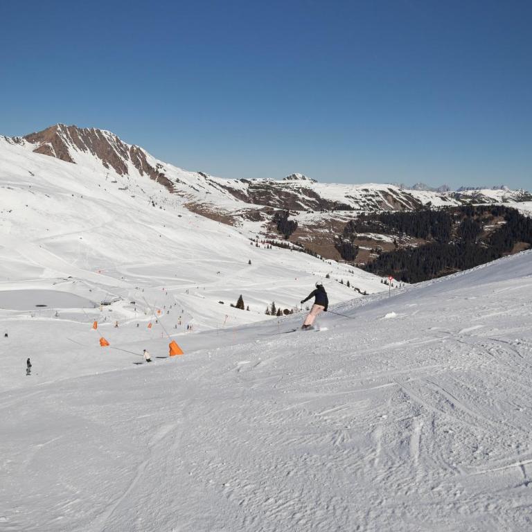 KitzSki Apartment ski-in ski-out accommodation - Apartment mit 2 Schlafzimmern - 46