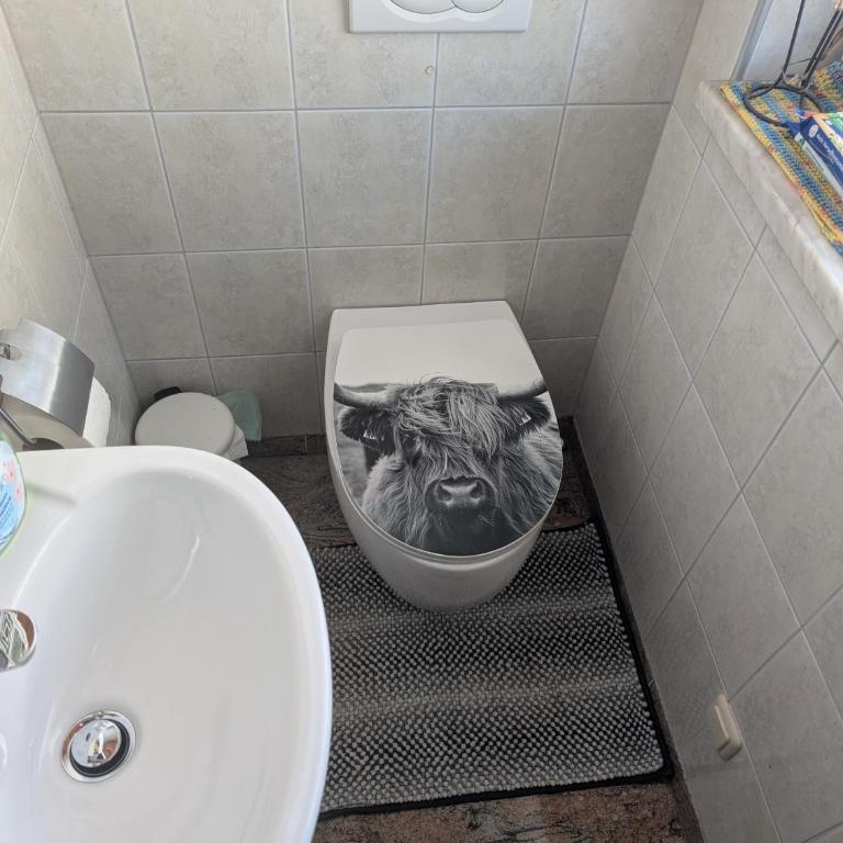 Chalet Fini - Haus mit 2 Schlafzimmern - 5