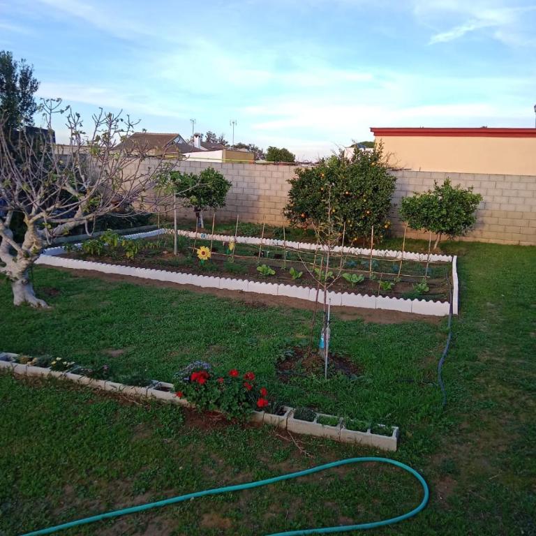 Valentina - Apartamento de 1 dormitorio - 3
