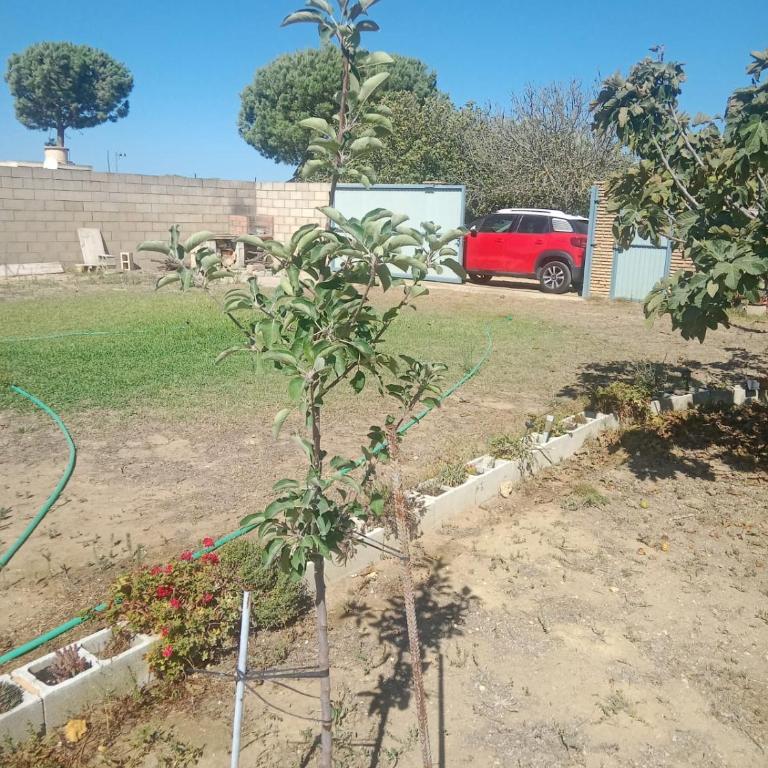 Valentina - Apartamento de 1 dormitorio - 5