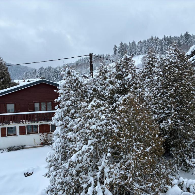 Chalet familial Gerardmer centre - salle de jeu - piscine partagée - Chalet - 26