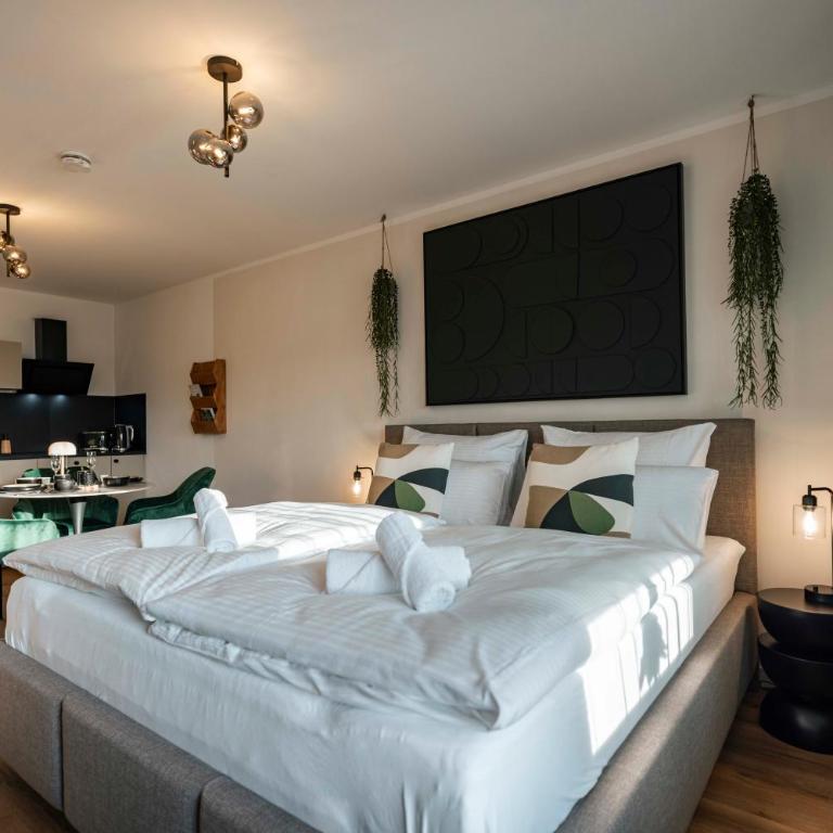 Boutique-Studio I Zentral I Parkplatz I Waschtrockner I inkl aktivCARD - 130 Gratis-Erlebnisse - Apartment mit 1 Schlafzimmer - 31