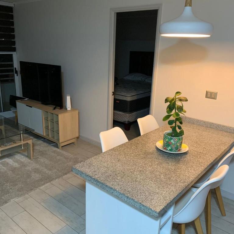 Depto AV Pacifico 3119 - Two-Bedroom Apartment - 2