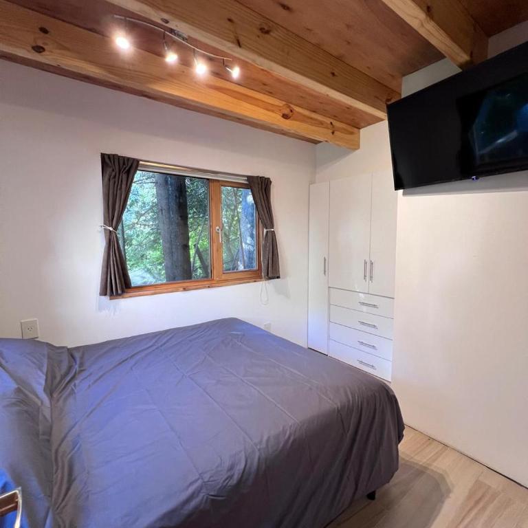Tranquila y moderna en el bosque - Two-Bedroom House - 11