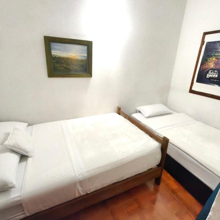Roomii Hostel - Bunk Bed in Female Dormitory Room - 13