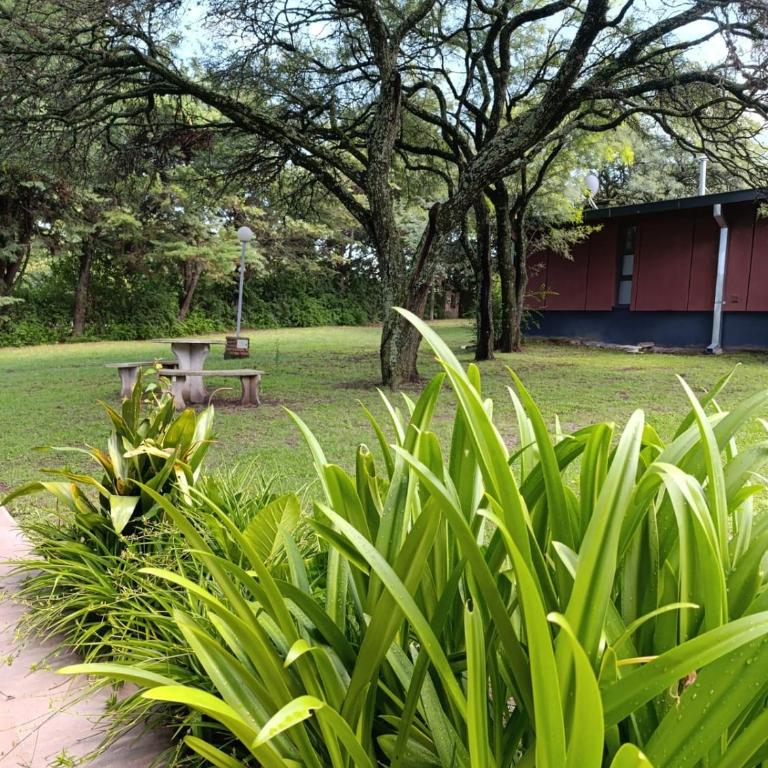 Cabañas Viena II cerquita de Villa General Belgrano - Casa con 1 dormitorio - 8
