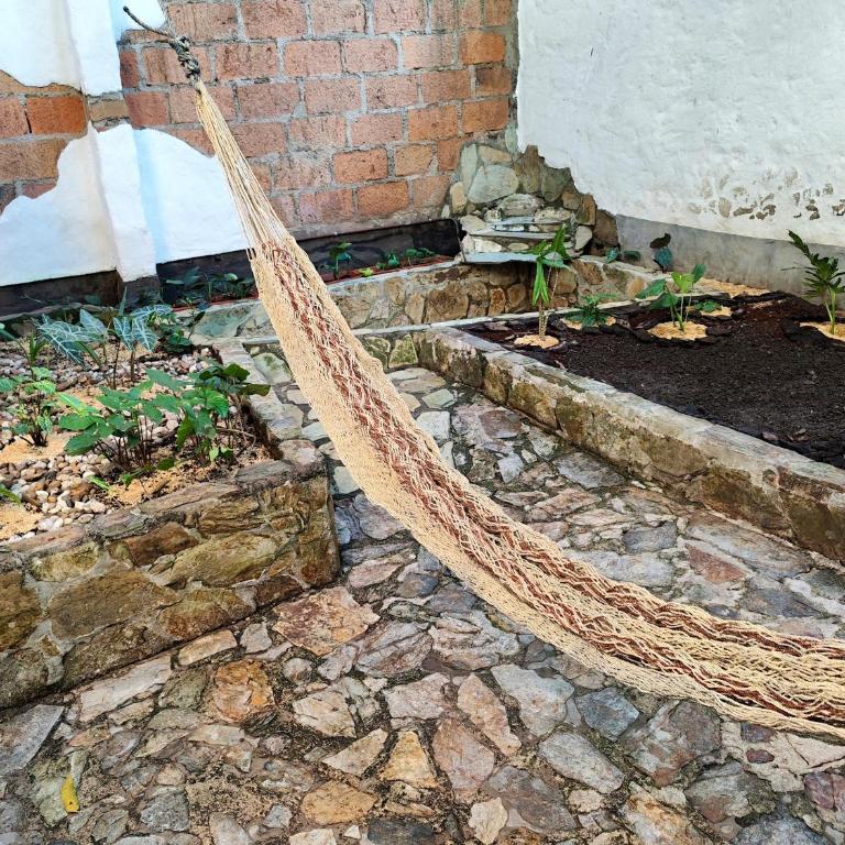 Casa Linda Zona Rosa Buenos Aires, Natural Garden - Four-Bedroom House - 10