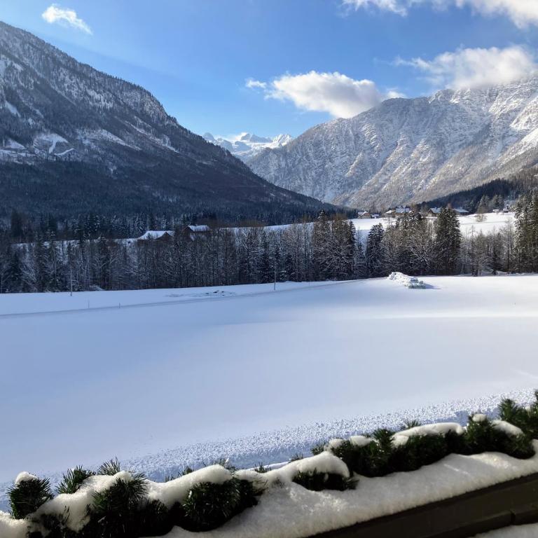 Dachstein Stüberl - Appartement avec Vue et Balcon - 42