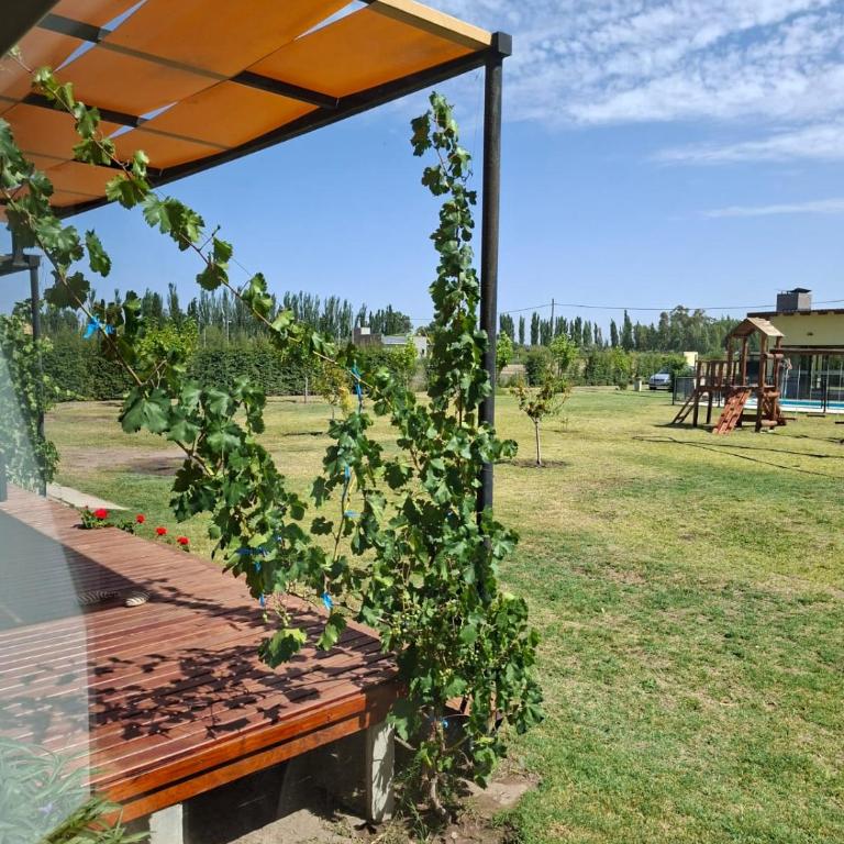 Punto Alma Home box - Casa con 1 dormitorio - 4