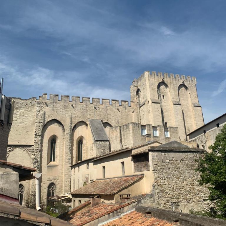 La Majorelle du Palais des Papes - Apartment mit 1 Schlafzimmer - 5