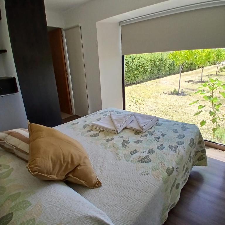Punto Alma Home box - Casa con 1 dormitorio - 7