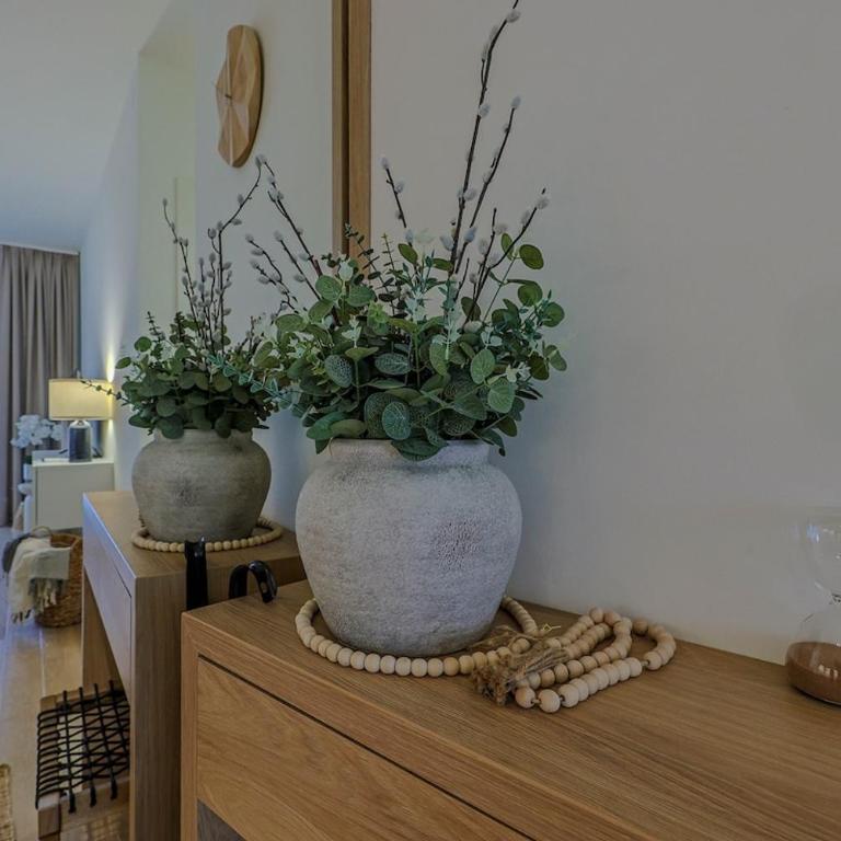 S310 with free parking - One-Bedroom Apartment - 12