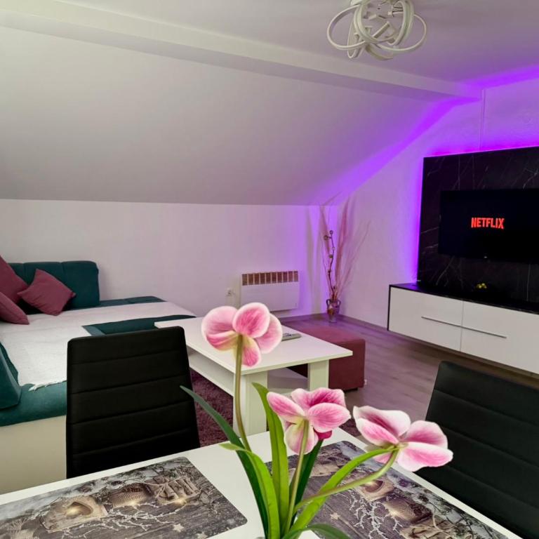 Apartment Djurdjic - Two-Bedroom Apartment - 1