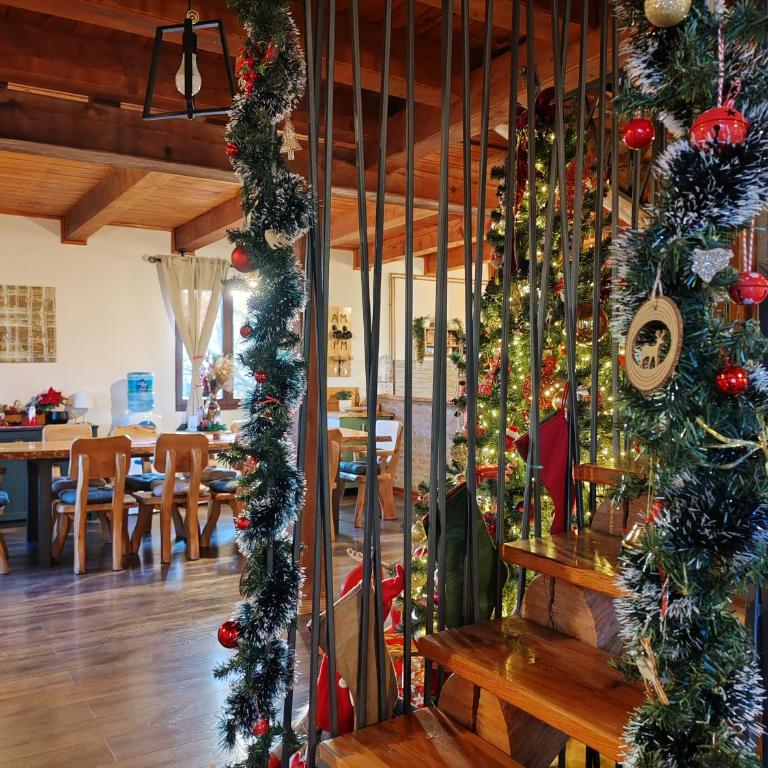 Rustic dream MIA - Vila - 41