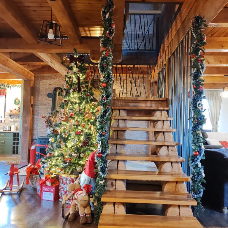 Rustic dream MIA - Vila - 39