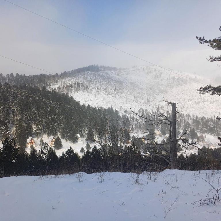 Planinska Kućica - One-Bedroom Chalet - 2