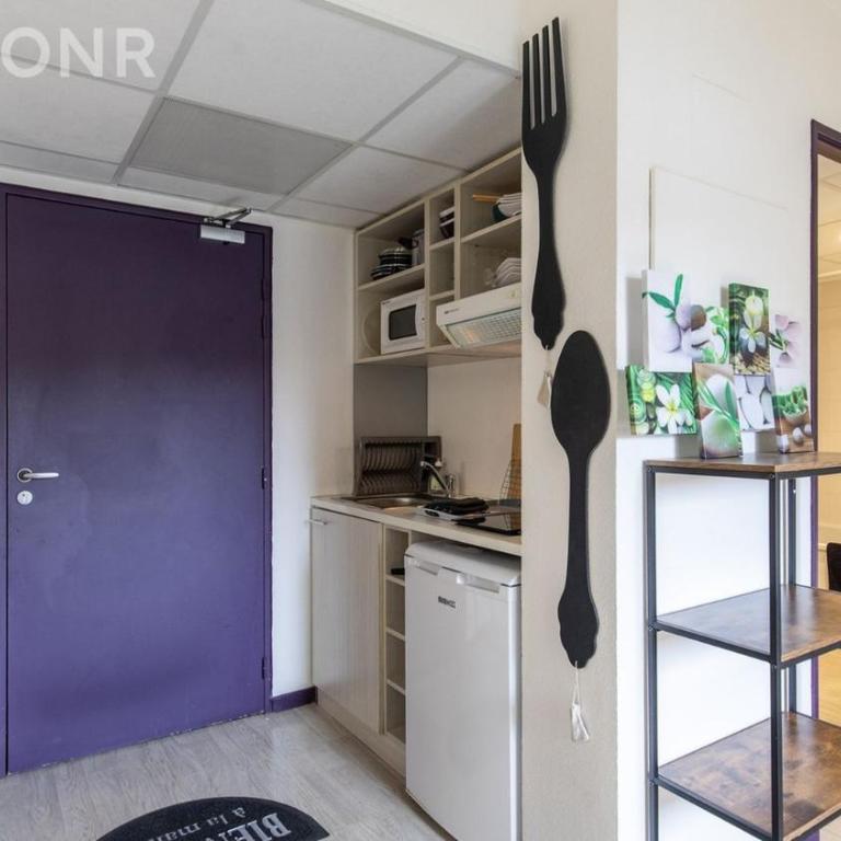 Grand studio 4 personnes bien placé gare , sanctuaire ,centre ville - Estudio con vistas a las montañas - 8