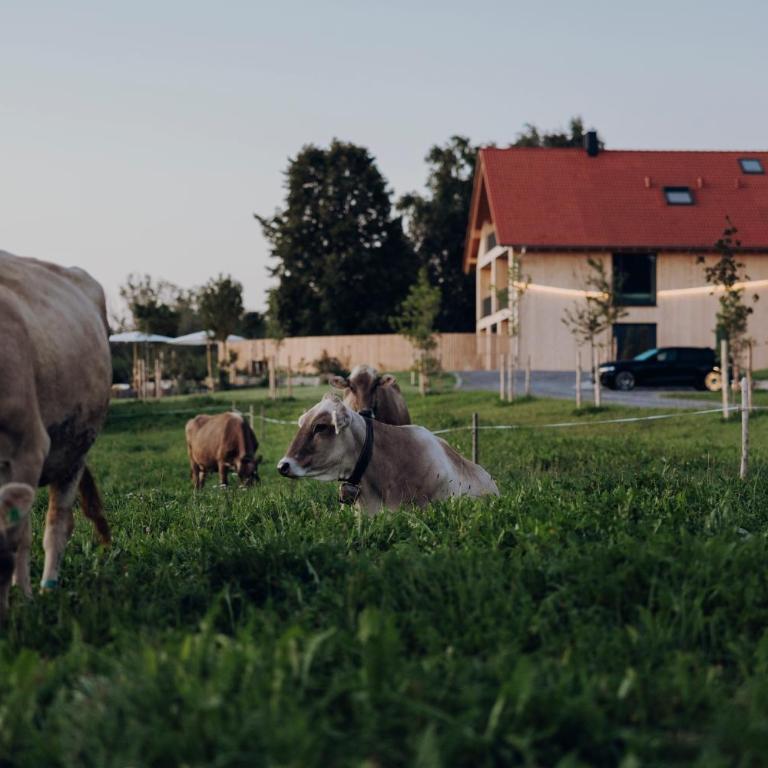 sona Suites Allgäu - Suite Balance - Sauna & Naturblick - Apartment mit 1 Schlafzimmer und Gartenblick - 15
