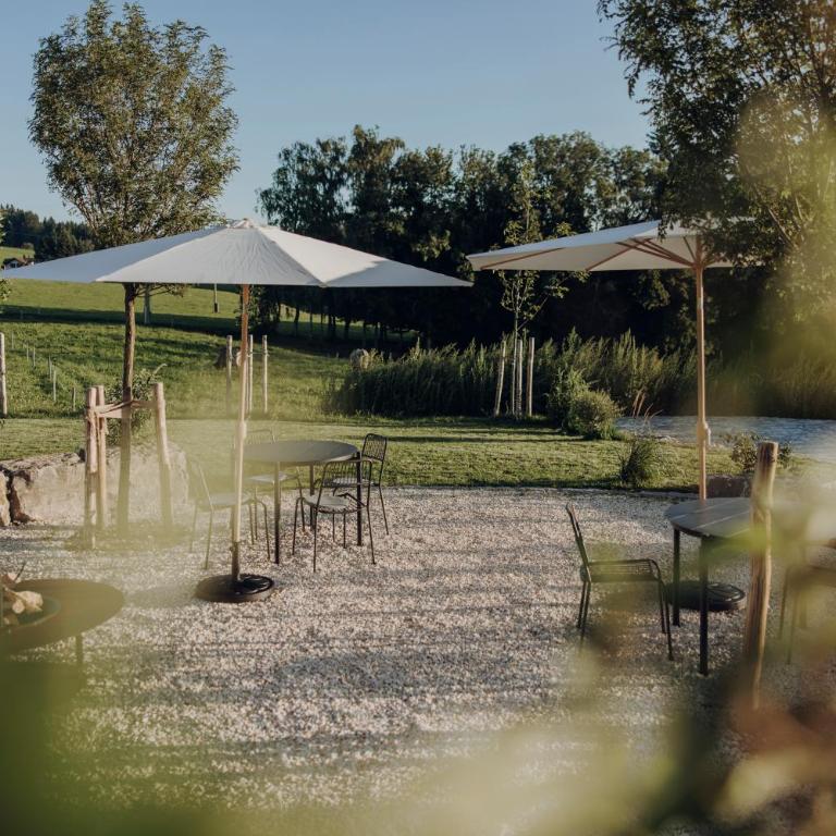 sona Suites Allgäu - Suite Balance - Sauna & Naturblick - Apartment mit 1 Schlafzimmer und Gartenblick - 10