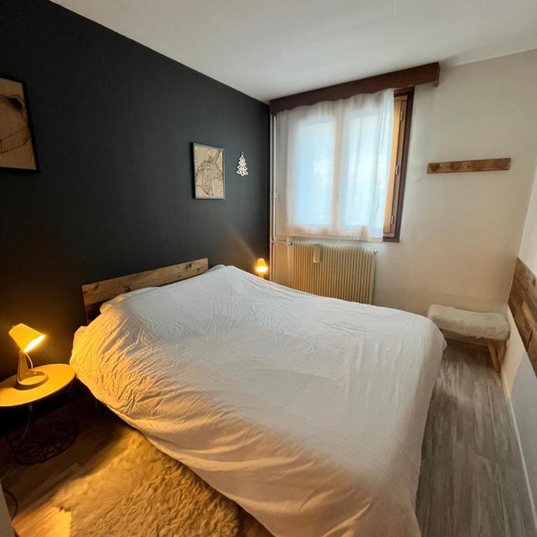 Praloup 1600 t3 sur piste 4p - Appartement 2 Chambres - 13