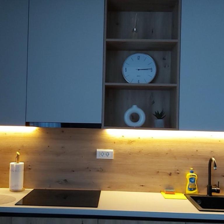Apartman M&M&M - u sklopu Aparthotel Vučko Jahorina - privatni apartman - Apartman sa 1 Spavaćom Sobom - 10