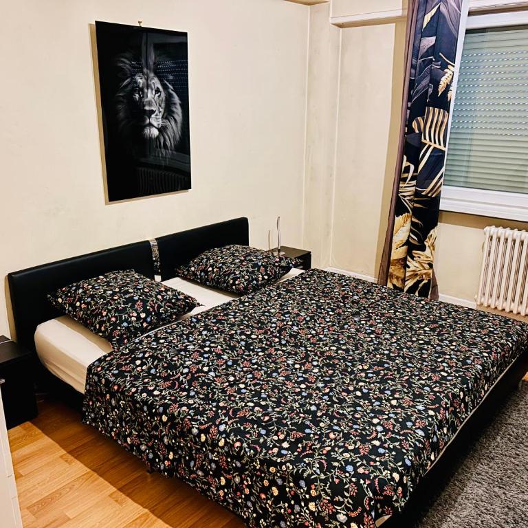 appartment avec balcon strasbourg centre - Appartamento con 1 Camera da Letto - 8