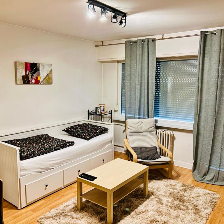 appartment avec balcon strasbourg centre - Appartamento con 1 Camera da Letto - 7