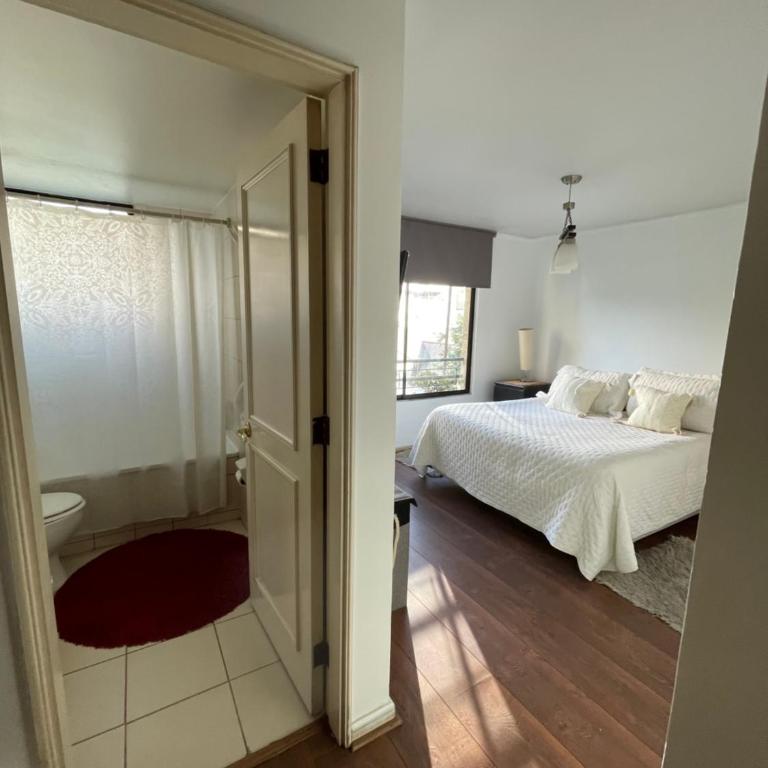 Magallanes - One-Bedroom Apartment - 2
