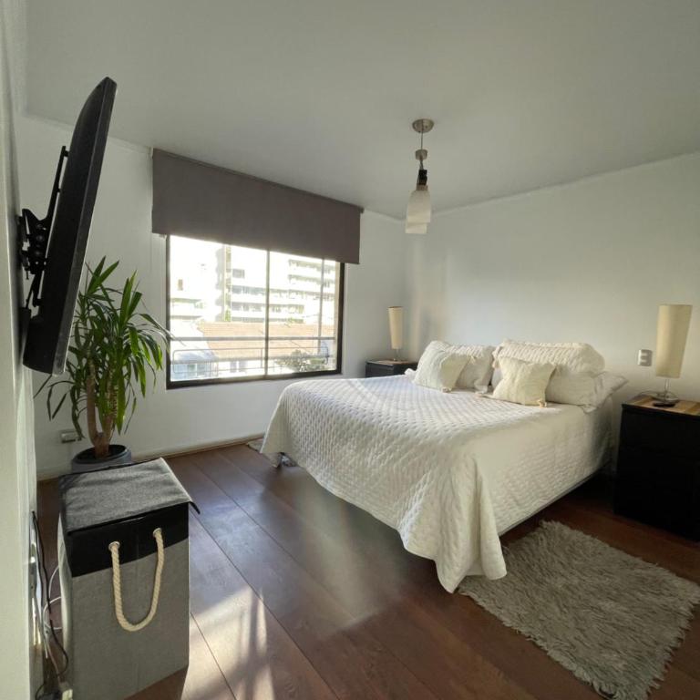 Magallanes - One-Bedroom Apartment - 1