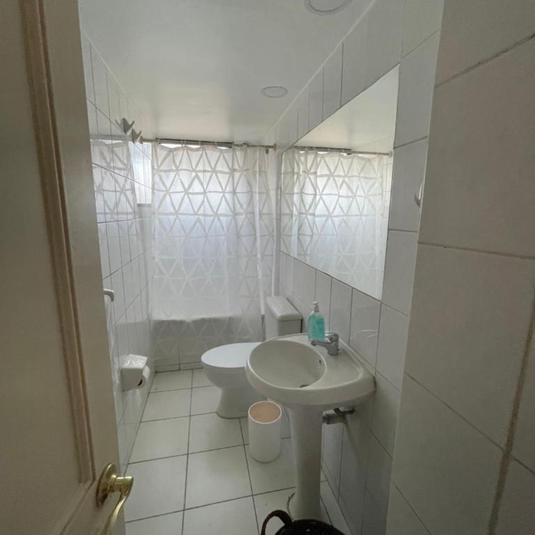 Magallanes - One-Bedroom Apartment - 8